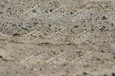 media/Apr-25-2025-BRL Bagger Racing League (Fri) [[6011495a33]]/1-Open Practice (9am-12pm)/1- (9am -10am)/